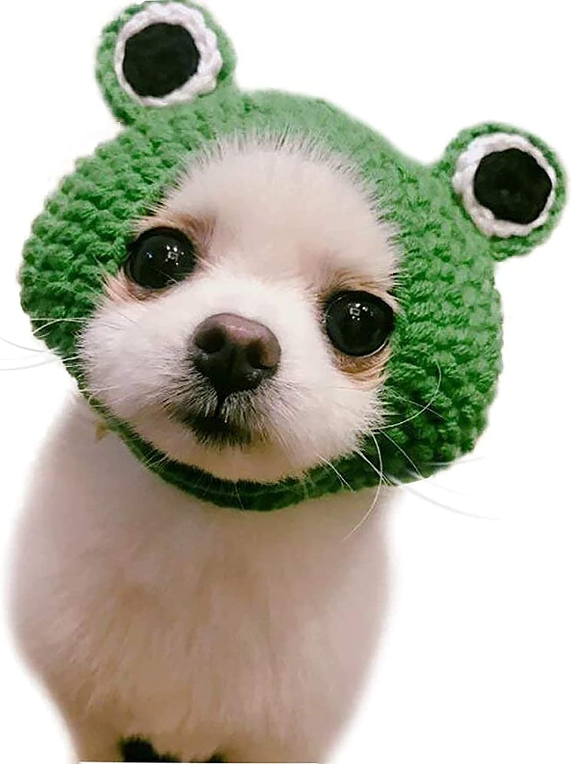 Handmade Knitted Woolen Yarn Frog Cap for Dog Puppy