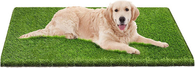 Dog Pee Pads, Professional Dog Poop Training Rug, Large Dog Grass Mat with Drainage Holes, Pet Turf Indoor Outdoor Flooring Fake Grass Doormat