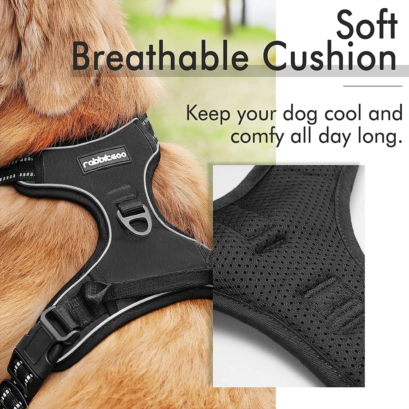 No-Pull Pet Harness with 2 Leash Clips, Adjustable Soft Padded Dog Vest, Reflective Outdoor